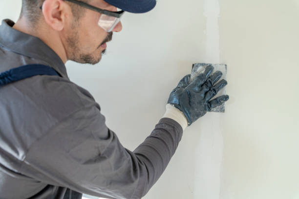 Best Mold Remediation for Healthcare Facilities  in Lincoln, ND