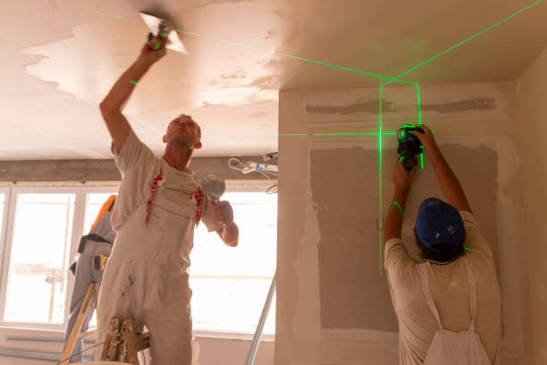 Best Real Estate Mold Inspection  in Lincoln, ND